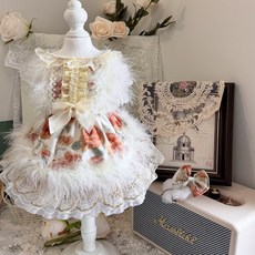 Aw Weiwei Pet 法式油畫印花連衣裙 寵物公主服飾 蝴蝶結裝飾, 1個, 玫瑰遇羽毛,S碼（2.0公斤左右）