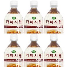 희창 자연생각 카페시럽 티타임, 1.5L, 6개