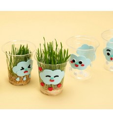 드리오샵 민화샵 보리싹키우기 (5개입) 재배키트