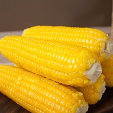유명한 옥수수 맛있는 찰옥수수 황찰 10개, 중