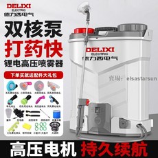 德力西電氣 公司貨 噴霧器 可拆卸 背負式 噴灑器 農用消毒, 1個, 20升三開關升級換電款,配12A一電一充