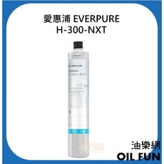 EVERPURE 愛惠浦 H系列 淨水設備 濾芯, 1個, H300 - NXT,濾芯