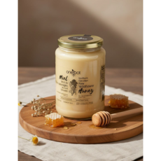 캐나다 원루트 천연 야생화 생꿀 1kg, 1개