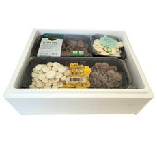 [산지직송] 느타리선물셋트, 1박스, 3팩