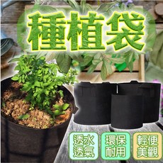 種植袋 美植袋 移植袋 植栽袋 育苗袋 園藝袋 不織布 毛氈袋, 1個, 3加侖