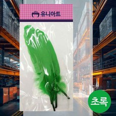 새깃털 초록 공예재료 꾸미기재료 장식품 깃털장식 드림캐쳐DIY 드림캐쳐만들기