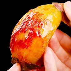 [명절70%특가] 영암꿀맛호풍미 최대19BRIX 해남 호박고구마, 1개, 2kg(대)