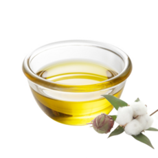 목화씨 오일 면실유 코튼씨드 천연 베이스오일, 1개, 500ml