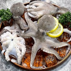 국내산 활쭈꾸미 암 수 믹스발송, 1개, 3kg (21~36미)