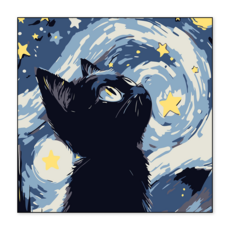 톰앤토미e 입문용 소형 DIY 아크릴 페인팅 그림 고양이 풍경 30*30, 별빛 속 깜냥이, 1개