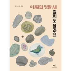 어쩌면 정말 새일지도 몰라요 (정지윤 동시집), 상품명
