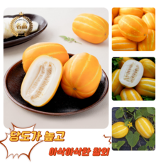 [굿피플] 참외 성주참외 성주참외못난이 미니참외 친환경참외 성주참외가정용 고당도참외, 1박스, 가정용 참외 3kg 혼합과