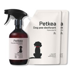 펫케아 강아지탈취제 피톤치드 천연 스프레이 반려견 오줌냄새 제거 + 공병, 1개, 4L