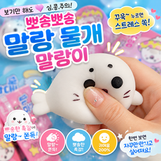 말랑이 모음 다양한 스퀴시 촉감놀이 스트레스 해소 장난감 6종, 1개, 말랑뽀송물개말랑이2개묶음