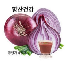 자색양파즙 빨간양파즙 50개x110mg 껍질째만든양파즙 순수혈압개선영양제 당뇨에좋은 감기에좋은양파즙 건강즙다이어트 혈액순환 원기회복 비만에좋은 양파, 50개, 110ml