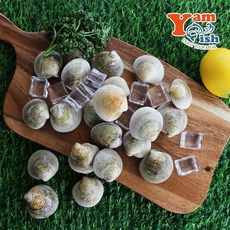 자연산 백모시 모시조개 1kg 산소포장 제철 봉골레조개, 2개