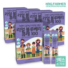 리틀앤마더 리얼 블루베리 퓨레 20g 14포, 70개