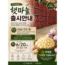 "출고합니다." 2026년 햇마늘시작 !! 건조. 탈피. 직송, 1개, 2kg