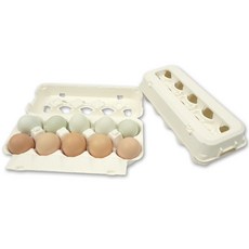 백색 10구 계란판 (오픈형) 10개