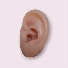 귀모형 귀모양 피어싱 연습용 귀걸이 디스플레이 인체모형, 1개