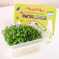세경팜 두손가득 새싹 재배세트 브로콜리싹 수경재배키트 세트, 1개