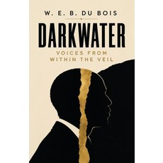(英文圖書)Darkwater: Voices From Within The Veil 平裝版, Curated Collection Publishing, 英文