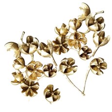 壹樓花藝 木荷果, 金色木荷果x1顆, 1個