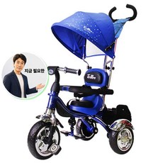 쌍문상회 지금 필요한 승용완구 렉스 트라이크 다기능 유아 세발자전거 K31872EA, 렉스(블루)