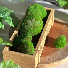 혜명몰 가짜 이끼 돌 세트 10입