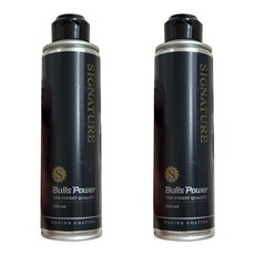 불스원 불스파워 엔진코팅제 시그니처, 300ml, 2개