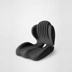 바른자세 메모리폼 등받이쿠션 요추 허리 쿠션, 1개, 블랙