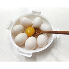 청둥오리알 비린맛 전혀 없는 자연방사 유정란 10구, 1박스