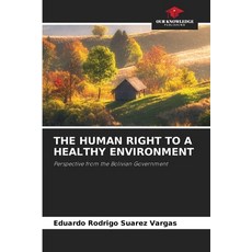 (영문도서)The Human Right to a Healthy Environment Paperback, Our Knowledge Publishing, English, 9786630300352