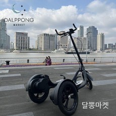 접이식 스텝퍼 자전거 서서 타는 삼륜 바이크 런닝머신, 검은색