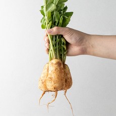 [산지직송] 아삭하고 단단한 식감 여수 알타리 무, 1박스, 여수 알타리 무 3kg