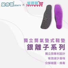 足亦歡ZENTY抗菌除臭奈米銀離子鞋墊 腳痛剋星 爆款 久站運動除臭足弓墊 愛買賀, 1個, 男款-24.5cm~30cm