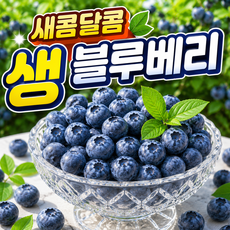 [특가할인] 국내산 새콤달콤 생 블루베리, 1개, 500g(대과, 14~16mm)