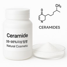 고순도 세라마이드 분말(Ceramide 3B-98%이상함량)천연화장품재료, 2g, 1개
