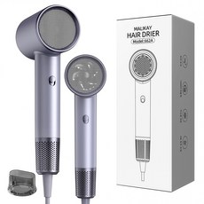 MALIKAY 헤어드라이기 블루음이온 고속 저소음 전문가용 드라이어 1800W EGTFF-1, 블루