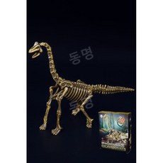 동명 고급형 공룡 화석 뼈 발굴 키트 장난감, 브라키오사우르스