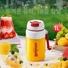 더패스터 무선텀블러믹서기 무선 소형 휴대용 블렌더, 석류레드-유리 1000ml, 기본 색상