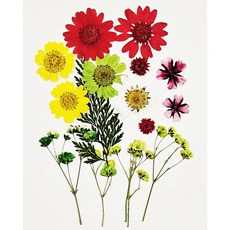 압화종합팩 레드정원 2 압화공예 레진공예 솔체압화, 레드10