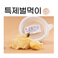 닥터봉 벌침 벌침벌 봉침벌 특제먹이 벌먹이용꿀, 특제벌먹이, 1개