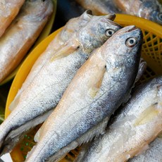 [산지직송] 민어 여수 국내산, 1개, 중(3마리)