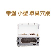 螞蟻帝國 韌性小草帝堡一體式立體內置水塔磁吸輕質磚巢單巢室小型螞蟻巢 蟻窩 養螞蟻, 1個