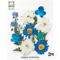체크스토리 압화 컬러가든시리즈 누름꽃 꽃송이 압화재료 공예, 물망초블루15(3팩), 블루
