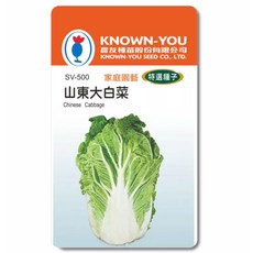 農友種苗 KNOWN-YOU 山東大白菜種子 SV-500 家庭園藝 特選種子, 1個