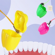 [아쿠아노바] 유치 보관함 첫니 젖니 돌선물 첫니 보관 이빨요정 유치 케이스, 색상랜덤