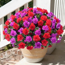 HyeFlora 봄 여름 장식용 인조 야외 꽃 식물 실크 핫핑크 동백나무 자외선 차단 화분 외부 현관 파티오 발코니 대형 번들 3개, 레드+푸크시아