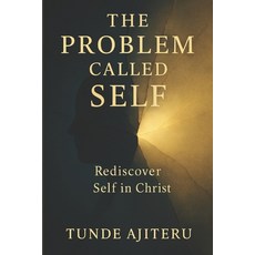 (英文圖書)The Problem Called Self 平裝版, Ayokeys, 英文